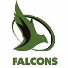 United States Falcons